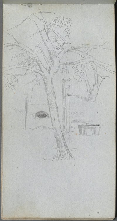 Quaderno degli schizzi, pagina 36: Studio di un albero da Ernest Meissonier