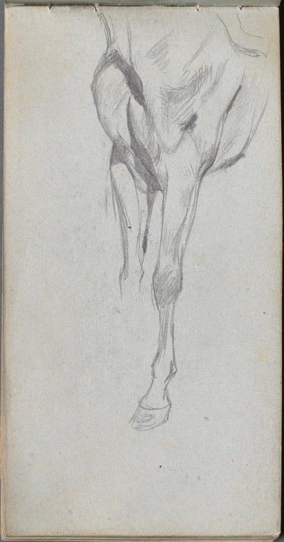 Quaderno di schizzi, pagina 48: Studio di un cavallo da Ernest Meissonier