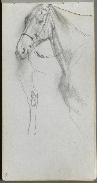 Taccuino, pagina 55: Studio per un cavallo da Ernest Meissonier