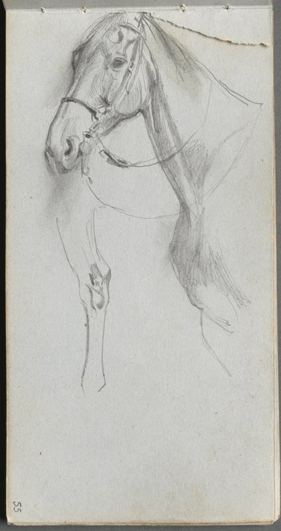 Taccuino, pagina 55: Studio per un cavallo da Jean Louis Ernest Meissonier