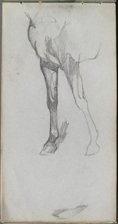 Taccuino, pagina 66: Studio di un cavallo da Jean Louis Ernest Meissonier