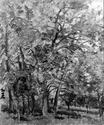 Attraverso gli Alberi da Ernest Rouart