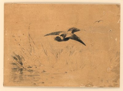 Bobolink da Ernest Thompson Seton