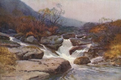 Un Ruscello del Dartmoor da Ernest William Haslehust
