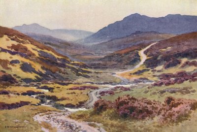 Un Sentiero di Brughiera, Il Ponte del Diavolo da Ernest William Haslehust