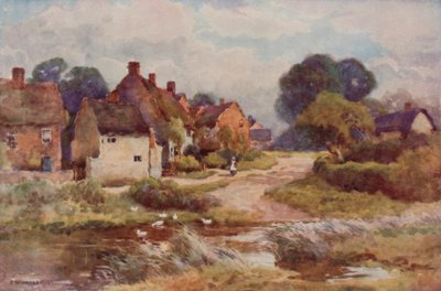 "Beggarly Broom" da Ernest William Haslehust