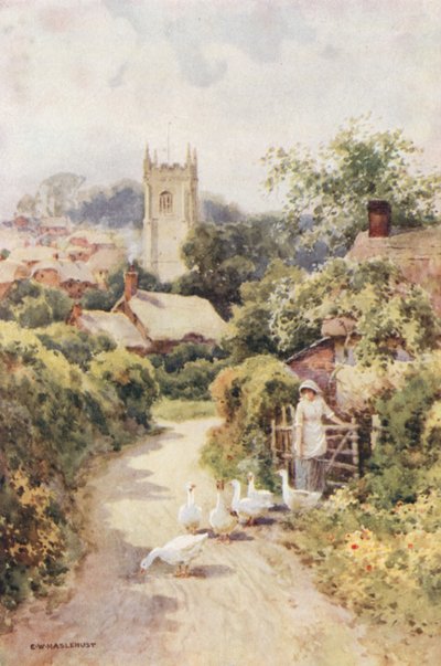 Bere Regis da Ernest William Haslehust
