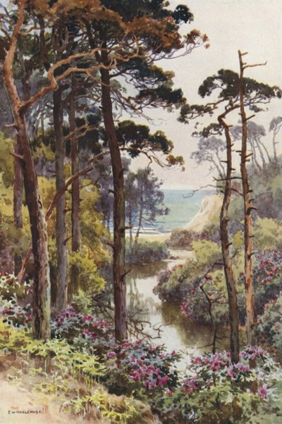 Branksome Chine, Bournemouth da Ernest William Haslehust
