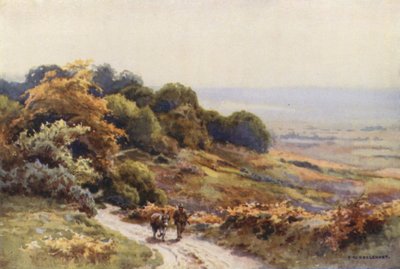 Burley Moor da Ernest William Haslehust