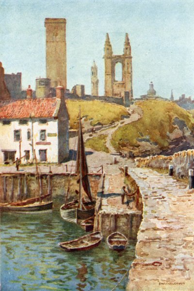 Rovine della cattedrale, St. Andrews, dal porto da Ernest William Haslehust