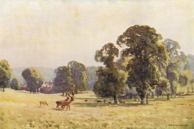 Cobham Park da Ernest William Haslehust