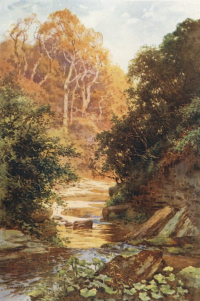 Hayburn Wyke da Ernest William Haslehust