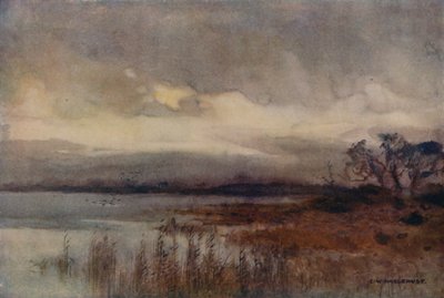Hickling Broad da Ernest William Haslehust