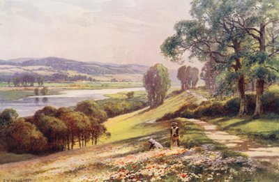 Fiume Tamigi: Bourne End da Quarry Hill da Ernest William Haslehust