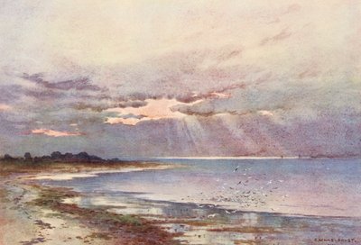 Fiume Tamigi: Guardando a sud verso il Nore da Ernest William Haslehust