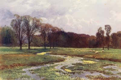 Fiume Tamigi: Sorgente del Tamigi da Ernest William Haslehust
