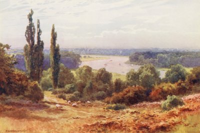 Fiume Tamigi: Il Tamigi, da Richmond Hill da Ernest William Haslehust