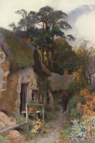 Cottage dello Squatter da Ernest William Haslehust