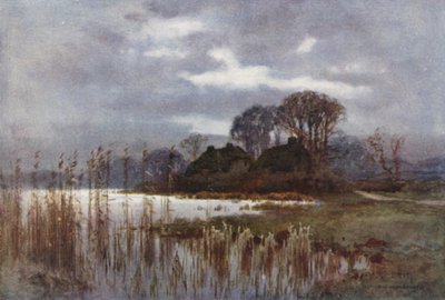 Lo stagno del mulino, Beaulieu da Ernest William Haslehust