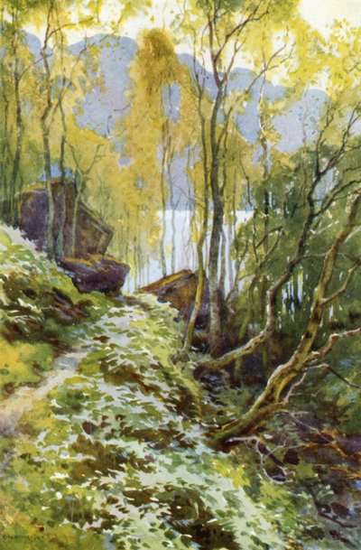 Il vecchio passo, Trossachs da Ernest William Haslehust