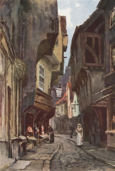 The Shambles da Ernest William Haslehust