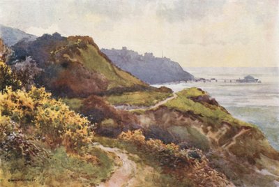 Ventnor dalla passeggiata di Steephill da Ernest William Haslehust