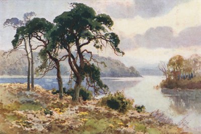 Virginia Water da Ernest William Haslehust