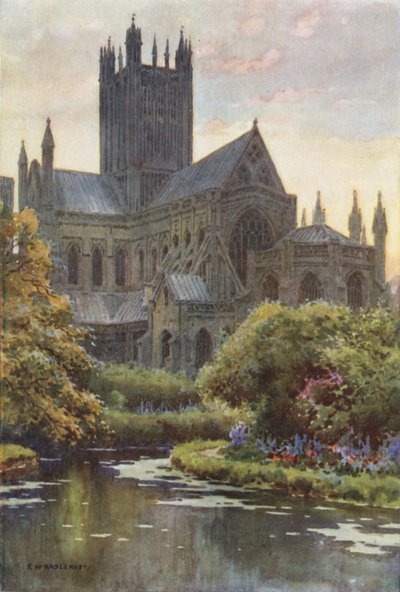 Cattedrale di Wells dalle Sorgenti da Ernest William Haslehust
