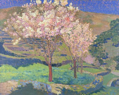 Alberi in fiore con terrazze da Ernest Yarrow Jones