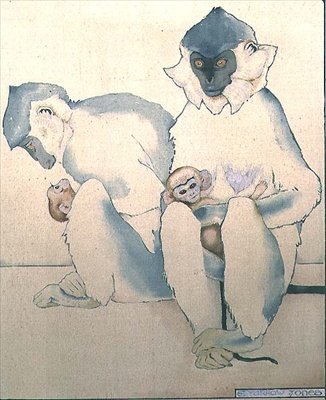 Babes (Languri dal cappuccio nero) da Ernest Yarrow Jones
