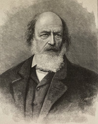 Ritratto di Alfred Tennyson, poeta britannico, incisione di Ernesto Mancastroppa da una fotografia di Barraud da Ernesto Mancastroppa