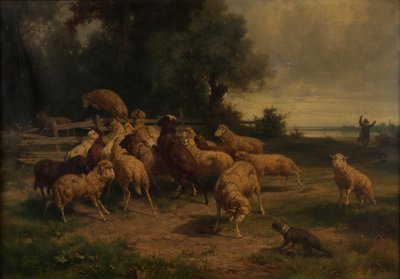 Pecore da Ernst Adolph Meissner