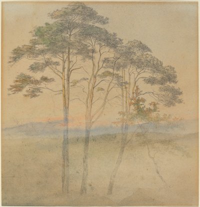 Pini nella Nebbia del Mattino da Ernst Ferdinand Oehme