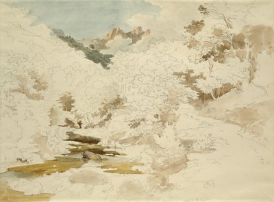 Bosco vicino a Massa da Ernst Fries