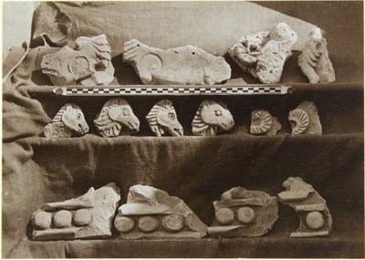 Scavo di Samarra (Iraq): Frammenti di un fregio con figure di cammelli, dal Palazzo del Califfo (Dar al-Khilafa, Jawsaq al-Khaqani, Bayt al-Khalifah), Piccolo Serdab, c.1911-13 da Ernst Herzfeld