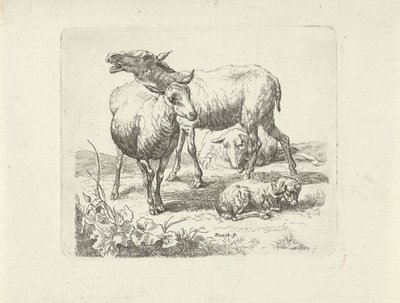 Tre pecore e un agnellino in un prato da Ernst Ludwig Creite
