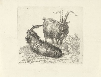 Due montoni in un prato da Ernst Ludwig Creite