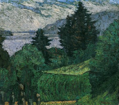 Vista sul lago da Ernst Riederer