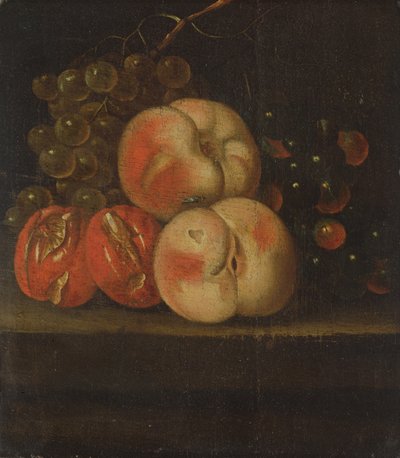 Studio di Frutta da Ernst Stuven