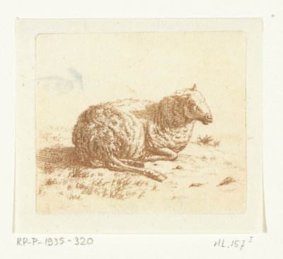 Pecora sdraiata da Ernst Willem Jan Bagelaar
