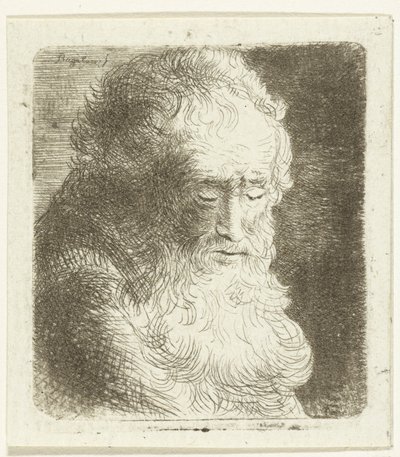 Vecchio uomo con barba che guarda in basso: tre quarti, verso destra da Ernst Willem Jan Bagelaar