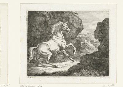 Cavallo bianco che salta da Ernst Willem Jan Bagelaar