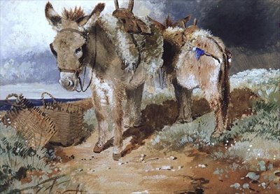 Asini, 1855 da Erskine Nicol
