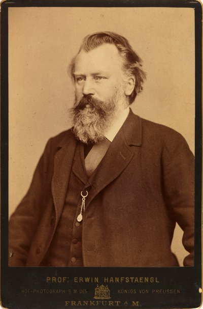 Ritratto del compositore Johannes Brahms 1833-1897, c. 1870 da Erwin Hanfstaengl