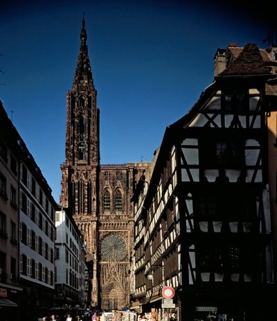 Arte gotica: vista di uno dei portali della Cattedrale di Notre Dame de Strasbourg, costruita nel XIII secolo da Erwin von Steinbach. (Basso Reno) da Erwin von Steinbach