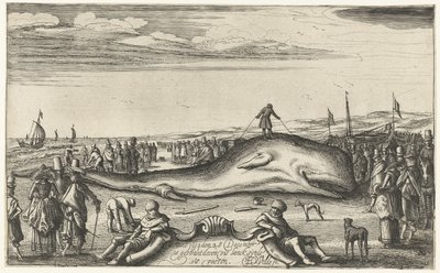 Capodoglio arenato sulla spiaggia di Noordwijk, 1614 da Esaias van de Velde