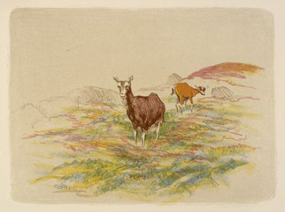 Capre in un campo da Esther Blaikie MacKinnon