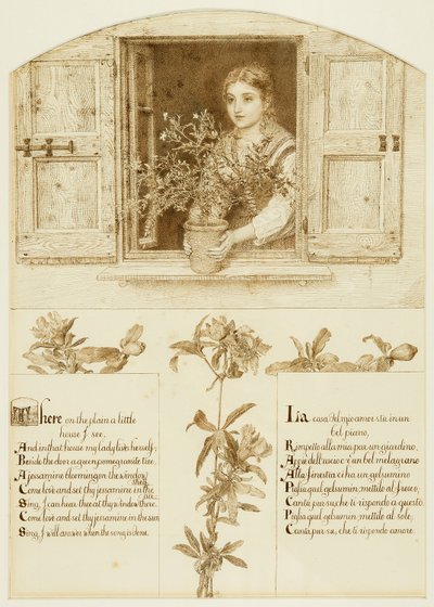 La finestra di Gelsomino, disegno per 