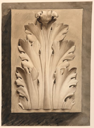 Disegno, foglia di acanto: da un calco da Esther Silver