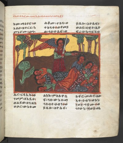 Or. 607 f058r, Scena della vita della Vergine Maria, da 